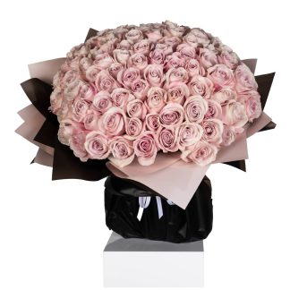 100 Pink Rose Perfection